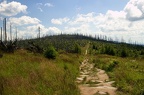IMG 2253 (1)