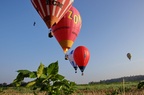 IMG 4947